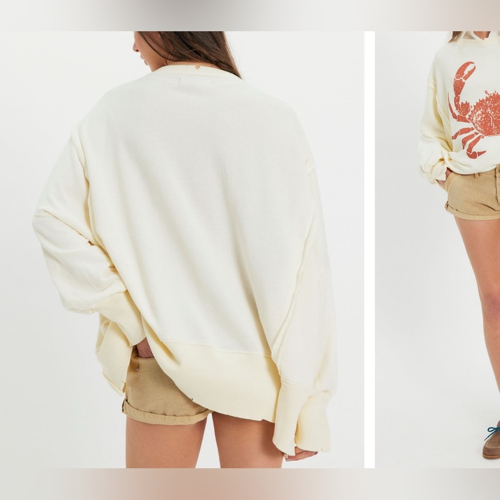 NWT Free People We The Free Graphic Camden Pullover - crab combo - Large - Picture 3 of 10